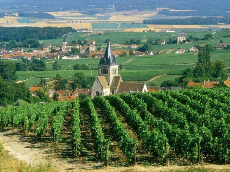tours from paris to champagne region