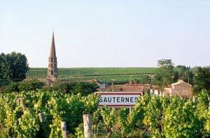 sauternes tour driver