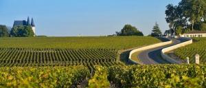 vineyard medoc driver tour