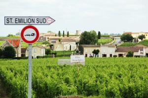 vineyards st emilion tour driver